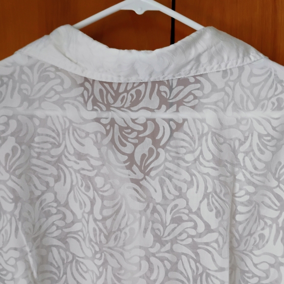 Elegant Carroll Reed  White Sheer Blouse Size 2X  Button V-neck 3/4 Sleeves - Picture 14 of 15